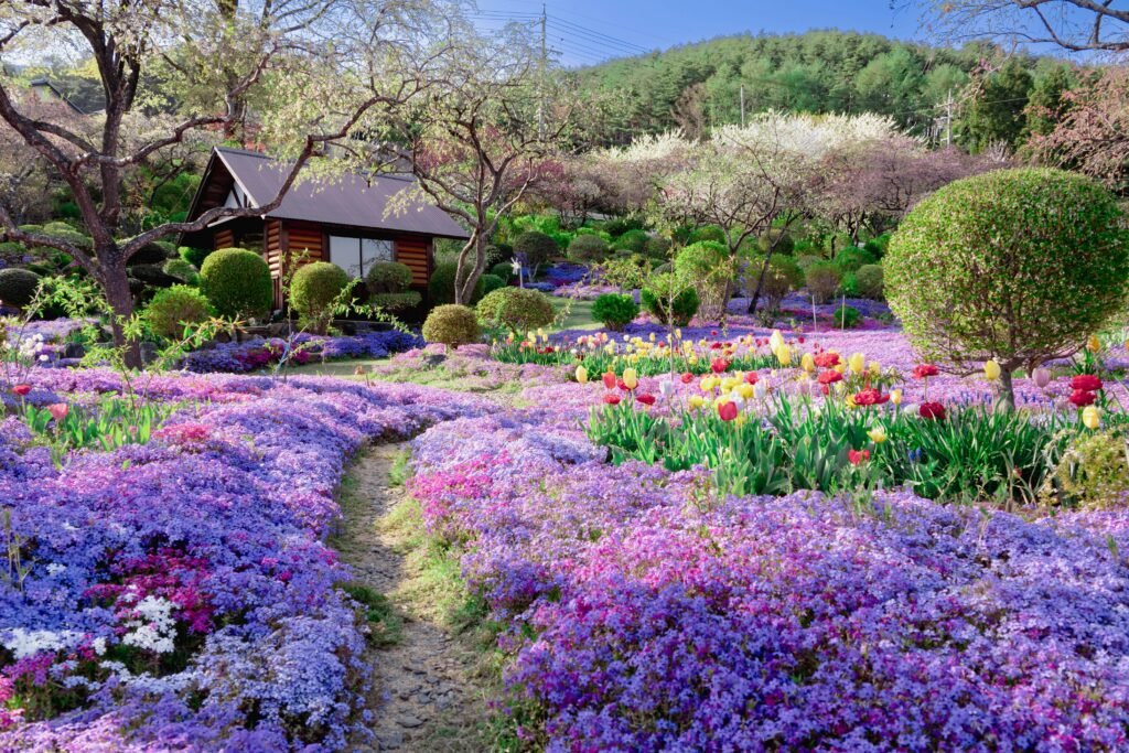 curso paisajismo y jardinería